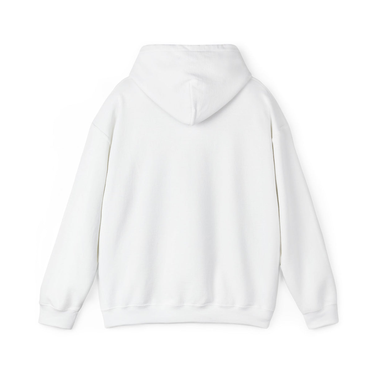 Catholic Schools Hoodie – Est. 1606 – Classic Campus Sweatshirt